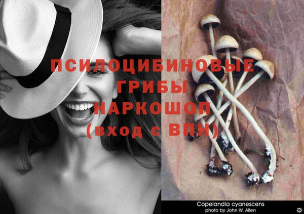 эйфоретик Абаза