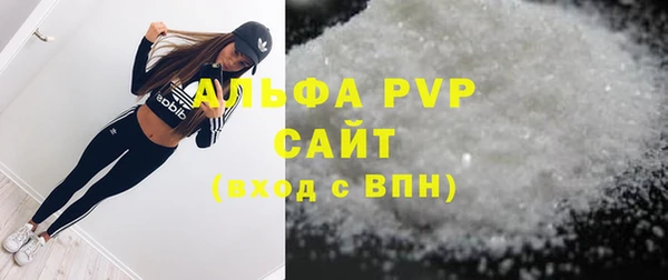 сатива Абинск