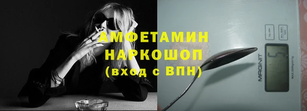 сатива Абинск