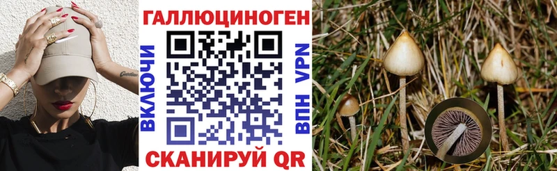 Галлюциногенные грибы GOLDEN TEACHER  купить наркотики цена  Владимир 